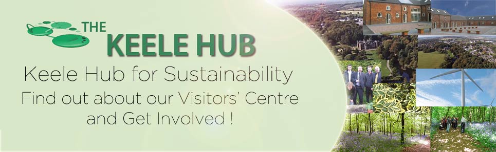 Keelehub