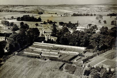 Campus greenhouses 1960s