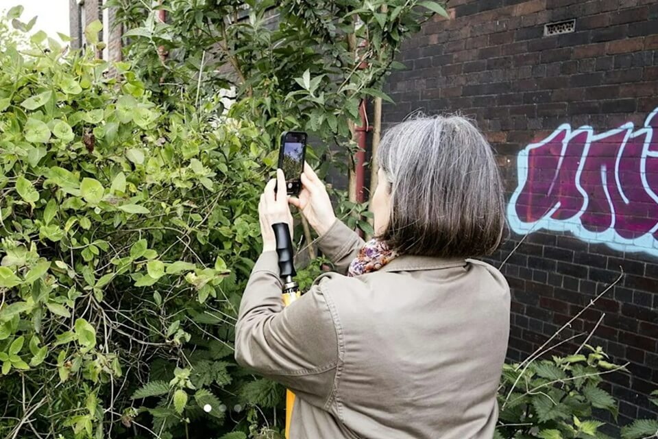 photo of someone taking a photo of some green plants adjacent to a wall with graffiti