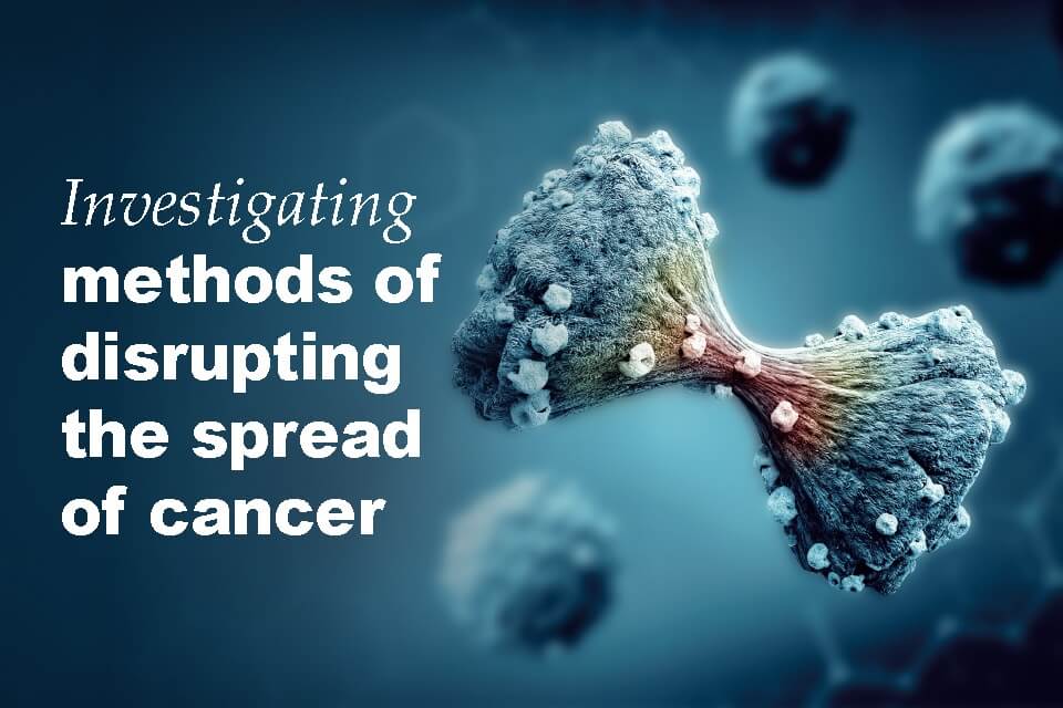 Keele scientists developing new chemical probe to study the spread of cancer cells