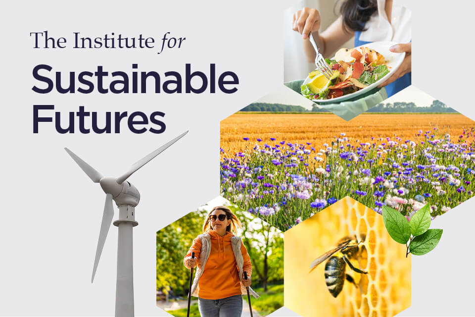 Montage of sustainability-related photos including: a wind turbine, somebody walking, a bee, a wildflower meadow, and somebody putting food waste into a recycling food caddy. Text reads: The Institute for Sustainable Futures.