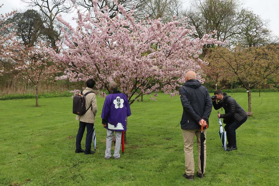 Legacy trees and benches