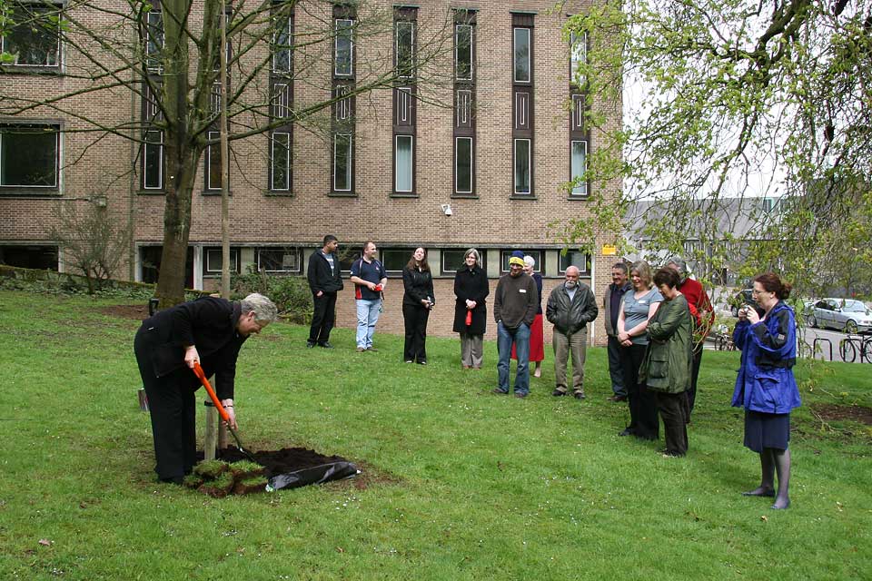 Commemorative and Donated Trees