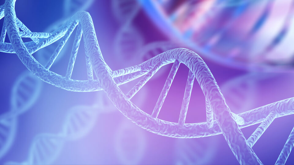 Researchers call for general public to shape decision making around DNA-altering technology

