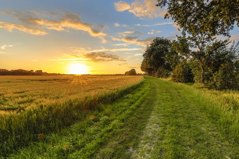 Keele establishes doctoral scholarships programme to tackle issues facing rural communities