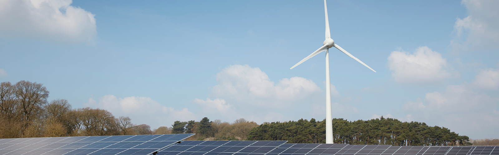 Solar panels and a wind turbine