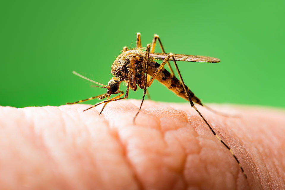 CAEPP research areas