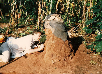 L‌eft - Richard Ward collecting sand flies from a disused termite mount in Western Brazil