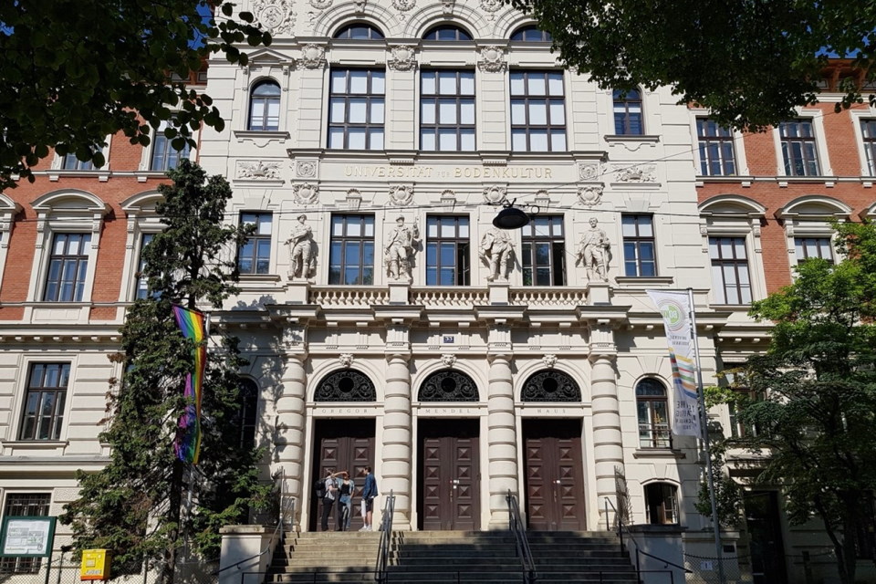 Professor William Kirk takes up guest professorship at Universität für Bodenkultur in Vienna