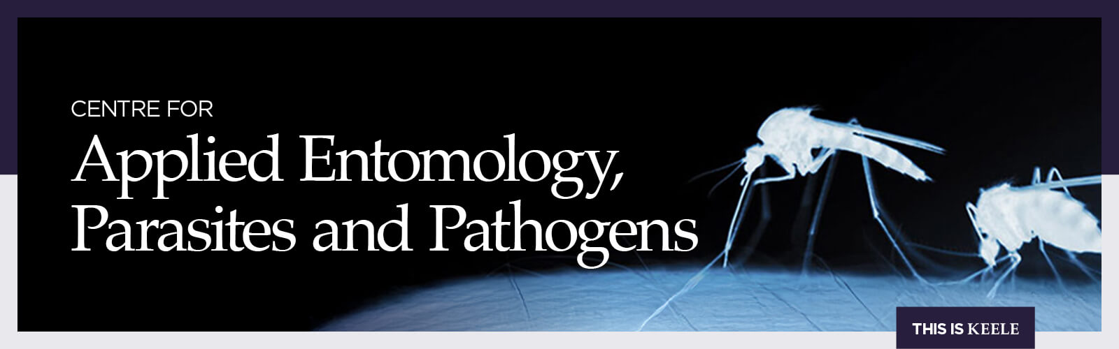 Centre for Applied Entomology and Parasitology banner