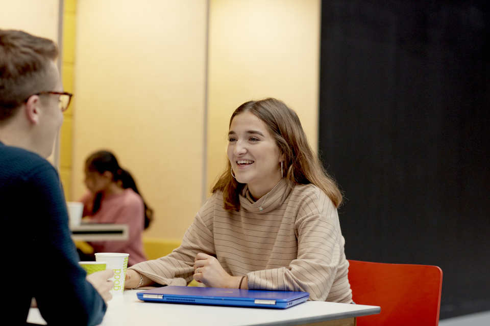 Careers consultations