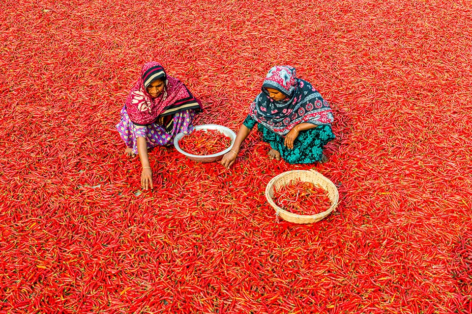 Using creative methods for developing cultural leadership in Bangladesh
