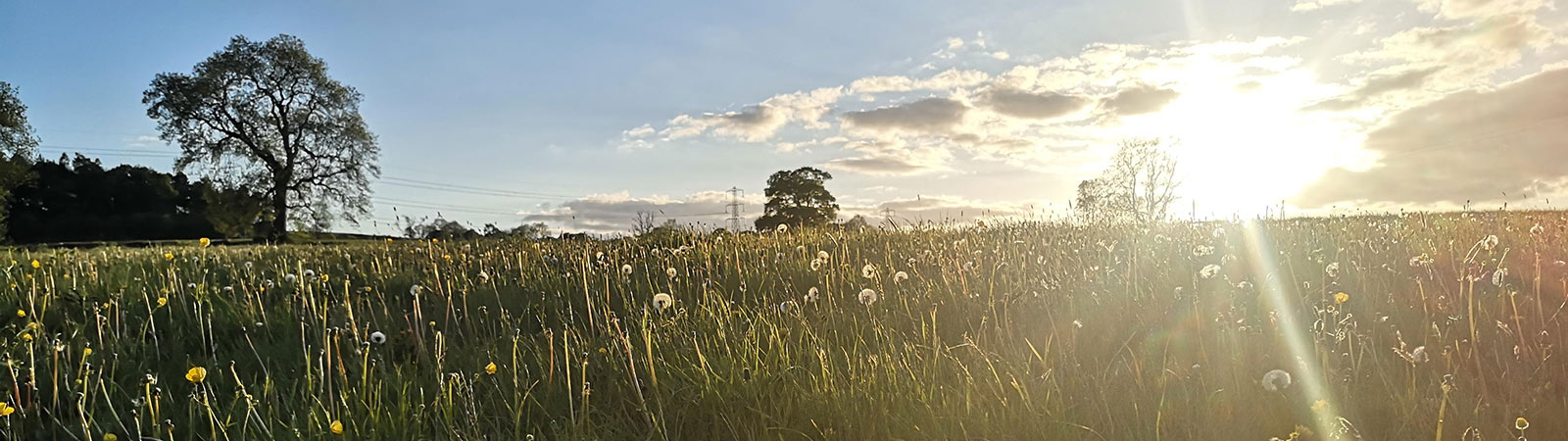Geographies of climate and ecological emergencies banner