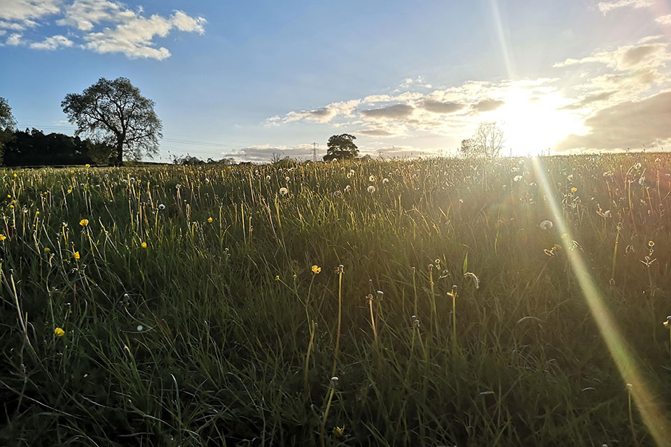 Geographies of climate and ecological emergencies