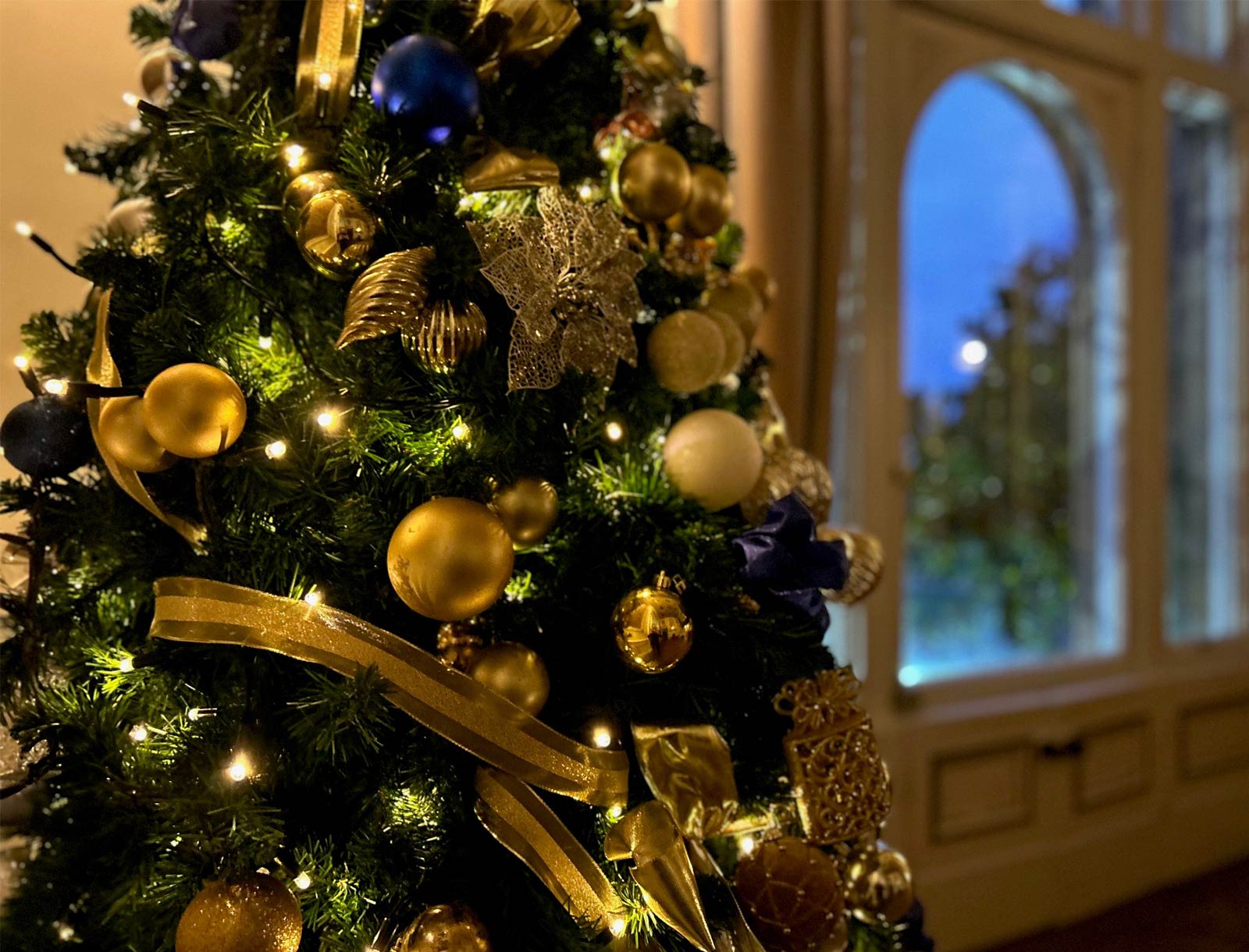 Festive lunch in the Salvin Suite