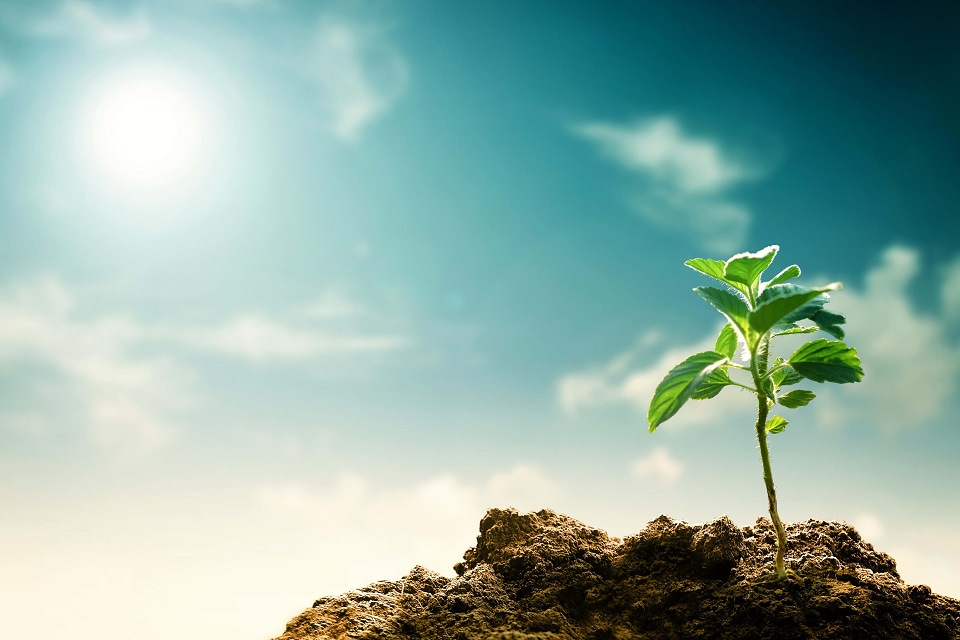 Keele University joins local council to act on climate crisis
