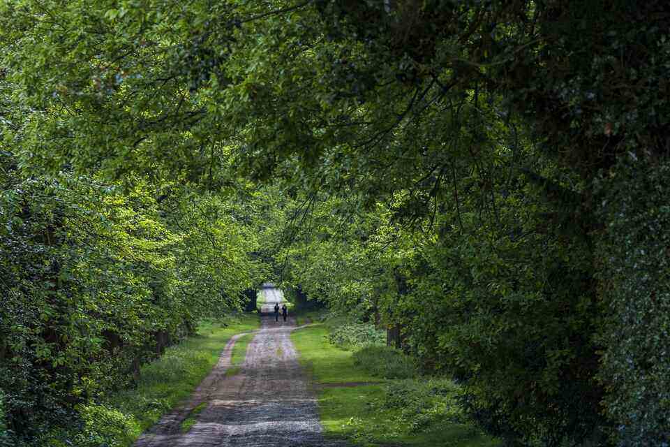 Anonymous reporting tool