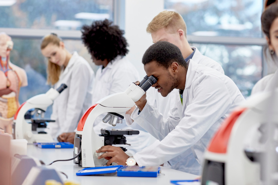 Professional Doctorates