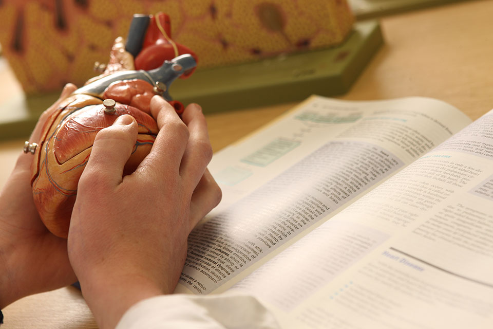 Literature search for clinical questions request