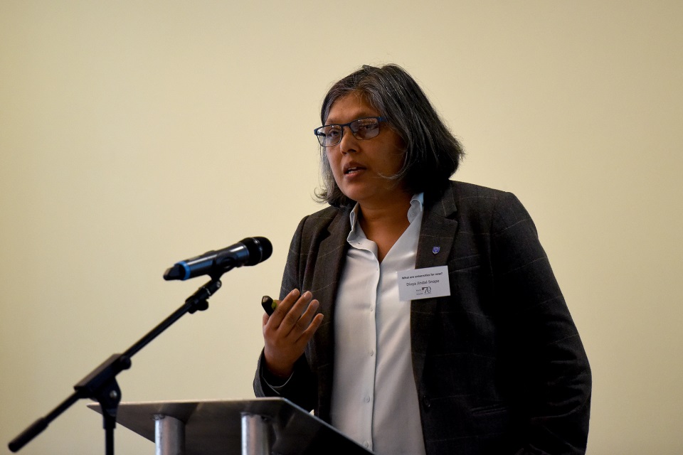 Professor Divya Jindal-Snape