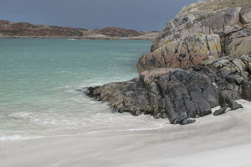 Student opportunities