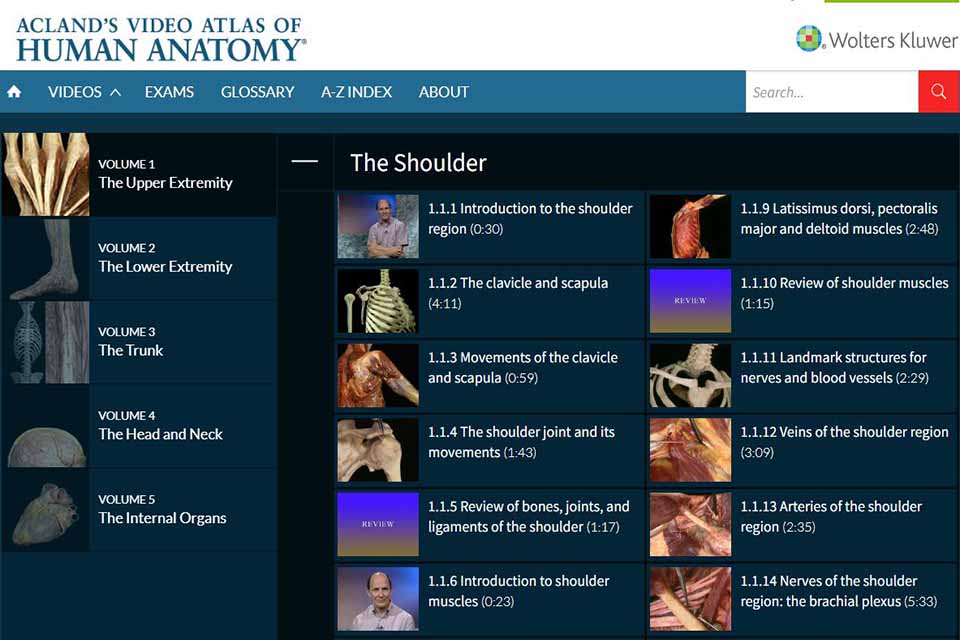 Library Resource Spotlight: Acland's Video Atlas of Human Anatomy