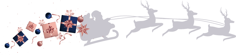 Icon of Santa on his sleigh
