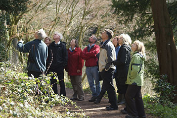 Looking at treecreeper roost