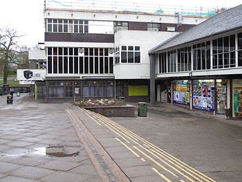 tree felling union square