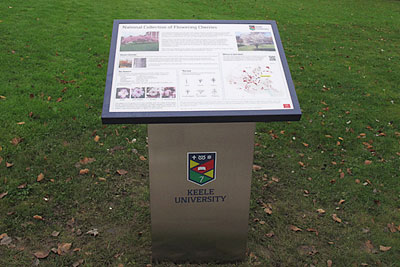 cherry interpretation board