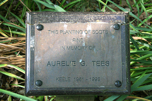 Aurelie Tees plaque