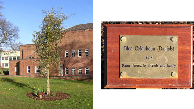 blod colquohoun tree and plaque