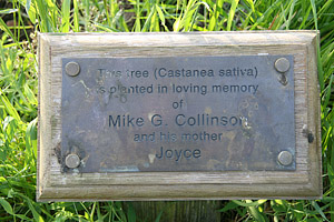 Mike Collinson plaque