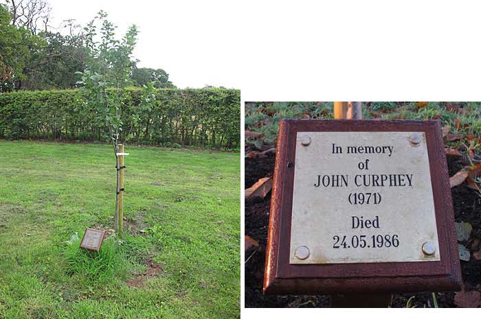 John Curphey tree and plaque