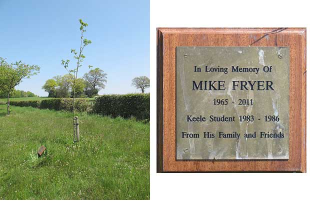 Mike Fryer plaque and tree