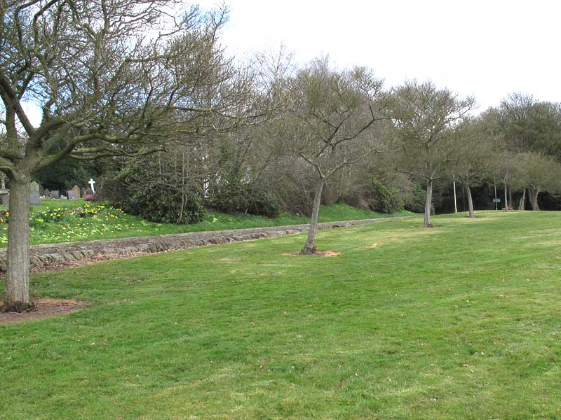 Margaret Whieldon trees