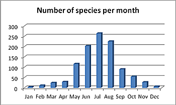 Number of moth species caught per month at Keele