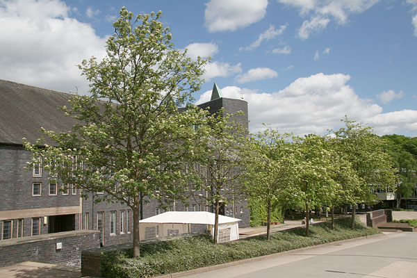 point-21 rowans by chapel