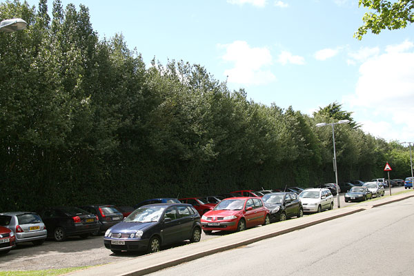 point-09 holly hedge today