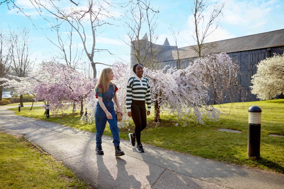 Cherry Tree Walk on Keele campus