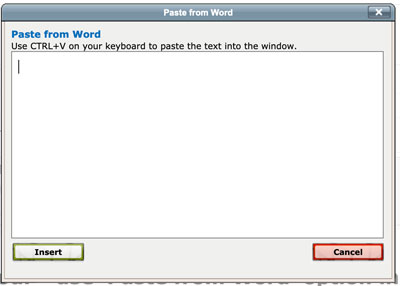 Paste from Word window