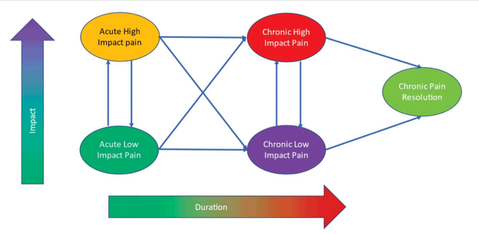 chronic pain research