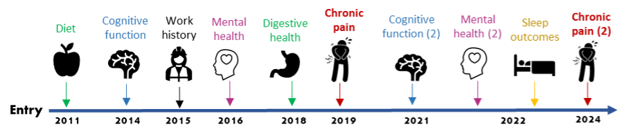 CHIPP research approach