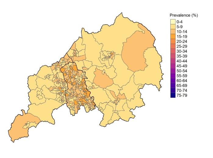 Foot ankle pain colour