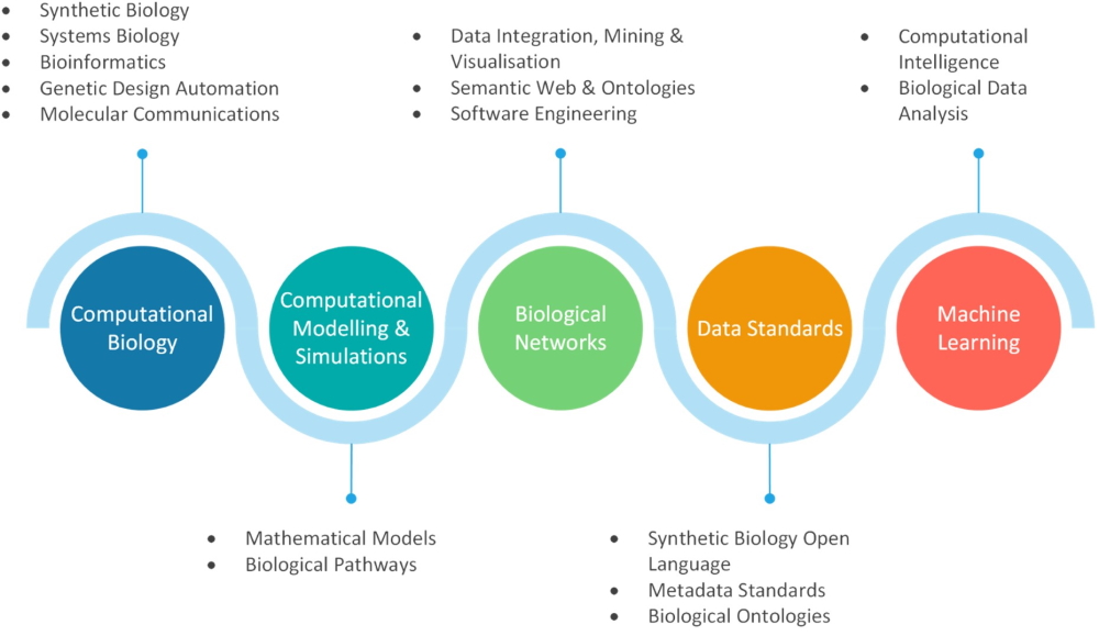 Computational biology, computational modelling and simulations, biological networks, data standards, machine learning