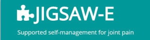 jigsaw-e-logo