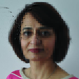 Dr Raana Haqqee
