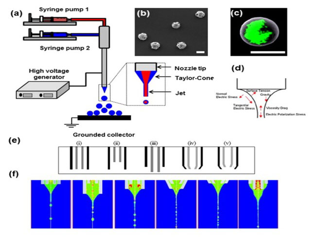Coaxial Electrohydrodynamic atomization (CEHDA) technique for the production of core-shell structured microparticles
