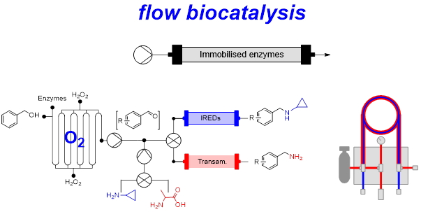 Flow biocatalysis - Dr Sebastian Cosgrove