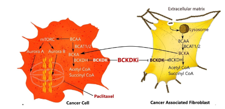 chemotherapy-diagram